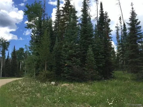 26735 Katy Ct, Clark, CO 80428 photo 3