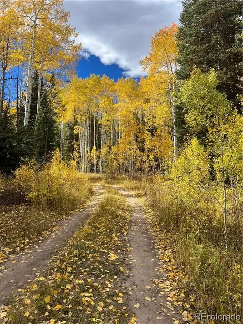 20300 King Bolt Trl, Oak Creek, CO 80467
