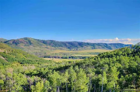 55810 Olive St, Clark, CO 80428 photo 3