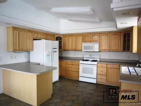 48 Trout Drive Smt #SUMMIT COY, HEENEY, CO, Silverthorne, CO 80498 photo 1