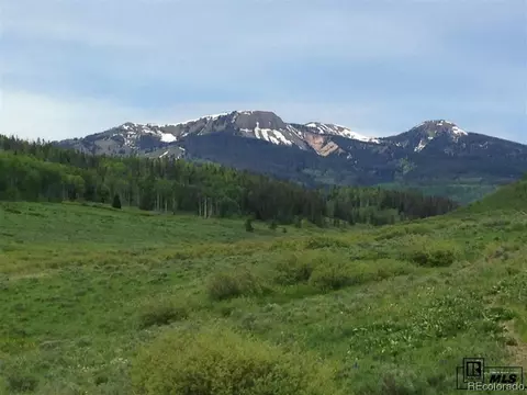 59255 Button Willow Dr, Clark, CO 80428 photo 22