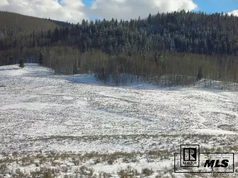 59255 Button Willow Dr, Clark, CO 80428 photo 26