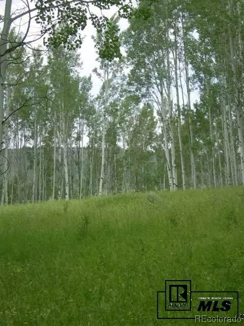 59255 Button Willow Dr, Clark, CO 80428 photo 14