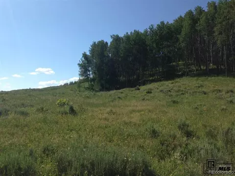 59255 Button Willow Dr, Clark, CO 80428 photo 5