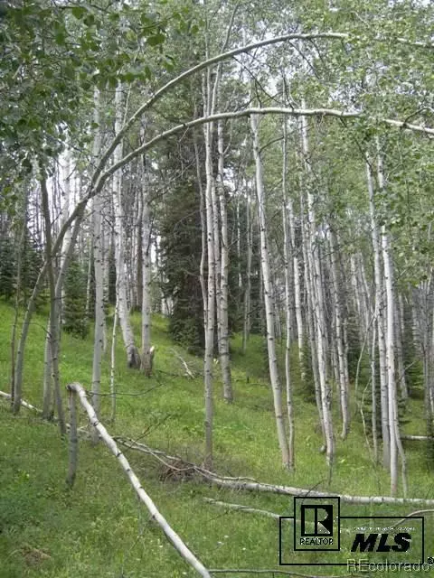59255 Button Willow Dr, Clark, CO 80428 photo 12