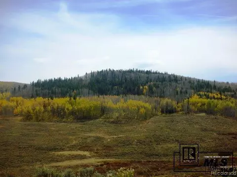 59255 Button Willow Dr, Clark, CO 80428 photo 17