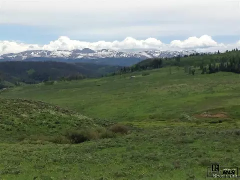 59255 Button Willow Dr, Clark, CO 80428 photo 23
