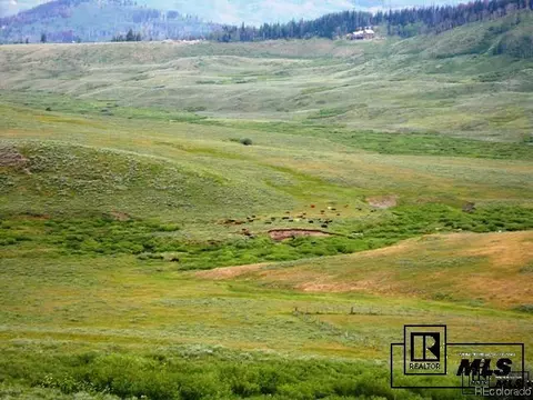 59255 Button Willow Dr, Clark, CO 80428 photo 1