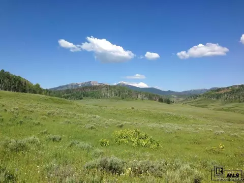 59255 Button Willow Dr, Clark, CO 80428 photo 6