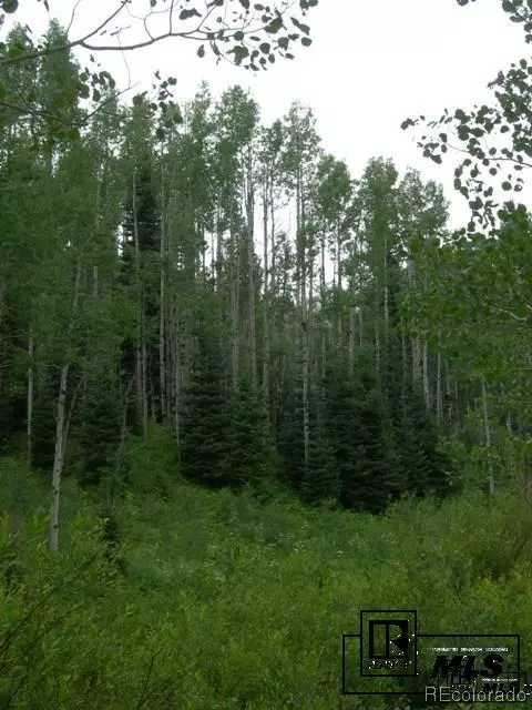 59255 Button Willow Dr, Clark, CO 80428 photo 13