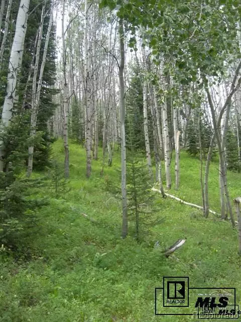 59255 Button Willow Dr, Clark, CO 80428 photo 11