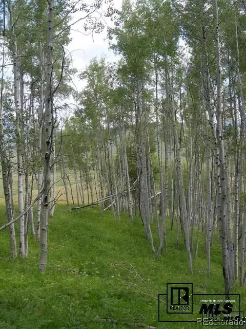 59255 Button Willow Dr, Clark, CO 80428 photo 15