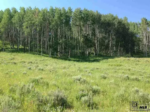 59255 Button Willow Dr, Clark, CO 80428 photo 7