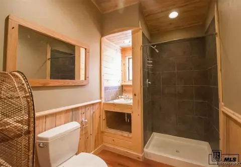 25641 Second Ave, Clark, CO 80428 photo 19