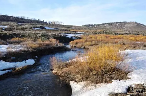 59240 Button Willow Dr, Clark, CO 80428 photo 2