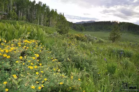 59240 Button Willow Dr, Clark, CO 80428 photo 12