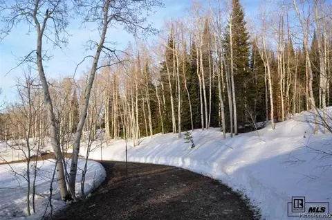 59240 Button Willow Dr, Clark, CO 80428 photo 9