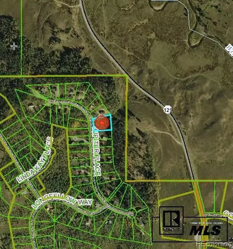 58110 Jupiter Pl, Clark, CO 80428 photo 9
