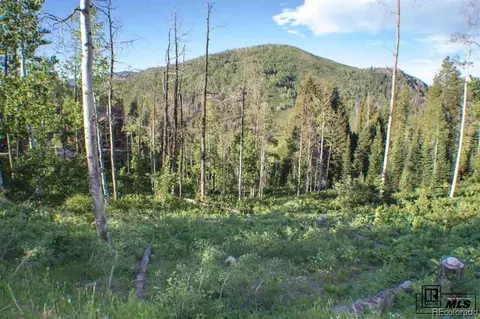58110 Jupiter Pl, Clark, CO 80428 photo 3