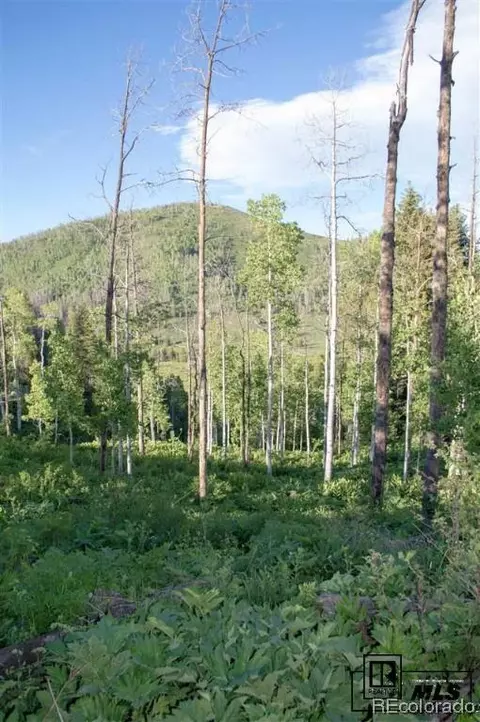 58110 Jupiter Pl, Clark, CO 80428 photo 4