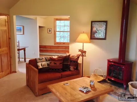 59005 Button Willow Dr, Clark, CO 80428 photo 14