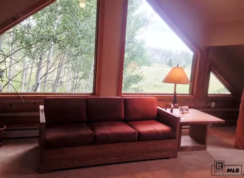 59005 Button Willow Dr, Clark, CO 80428 photo 15