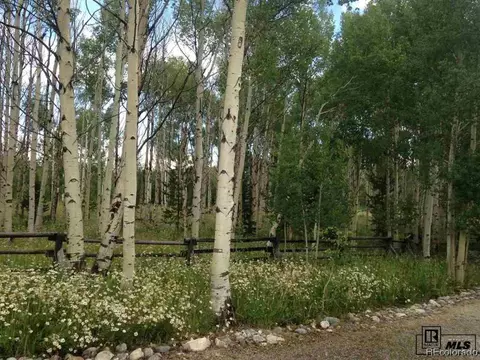 59005 Button Willow Dr, Clark, CO 80428 photo 24
