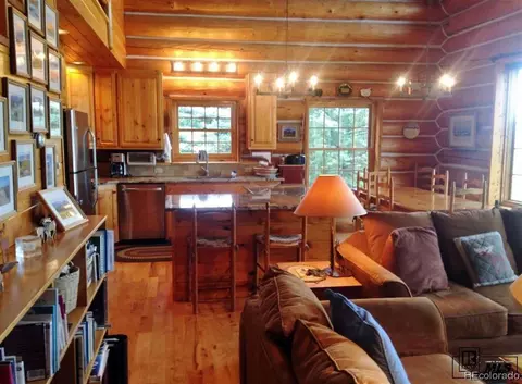 59005 Button Willow Dr, Clark, CO 80428 photo 7