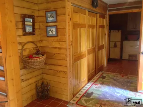 59005 Button Willow Dr, Clark, CO 80428 photo 9