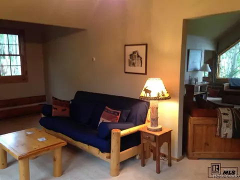 59005 Button Willow Dr, Clark, CO 80428 photo 16