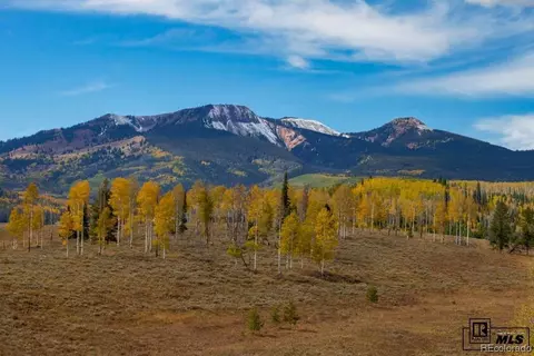 58950 Button Willow Dr, Clark, CO 80428 photo 1