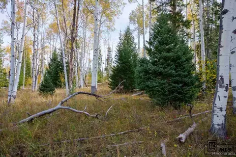 58950 Button Willow Dr, Clark, CO 80428 photo 9