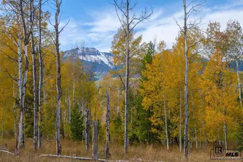 58950 Button Willow Dr, Clark, CO 80428 photo 8