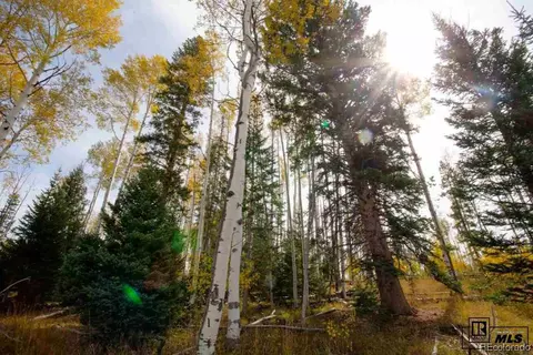 58950 Button Willow Dr, Clark, CO 80428 photo 10