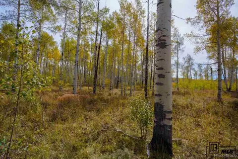 58950 Button Willow Dr, Clark, CO 80428 photo 12