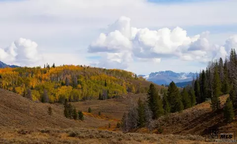 58950 Button Willow Dr, Clark, CO 80428 photo 5