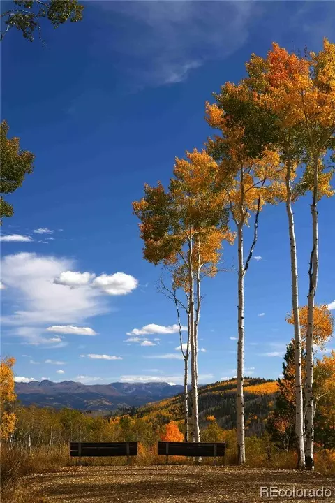 59150 Button Willow Dr, Clark, CO 80428 photo 32