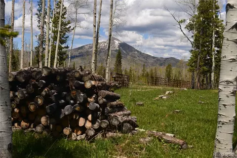 59160 Button Willow Dr, Clark, CO 80428 photo 4