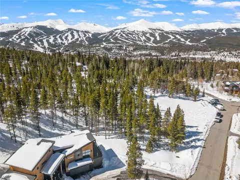 191 Campion Trl, Breckenridge, CO 80424