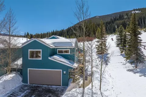 390 Meadow Wood Cir, Dillon, CO 80435