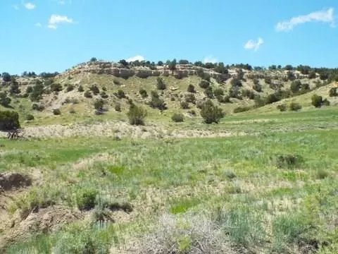 1429 Carlson Rd, Rye, CO 81069 photo 17