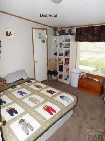 1429 Carlson Rd, Rye, CO 81069 photo 9