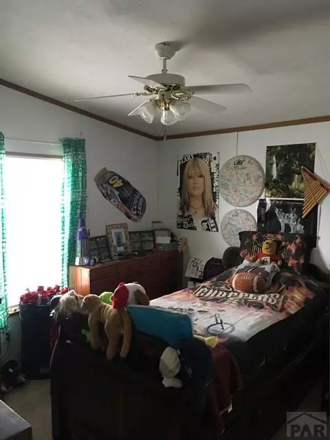 2405 County Rd 110, Rye, CO 81069 photo 18