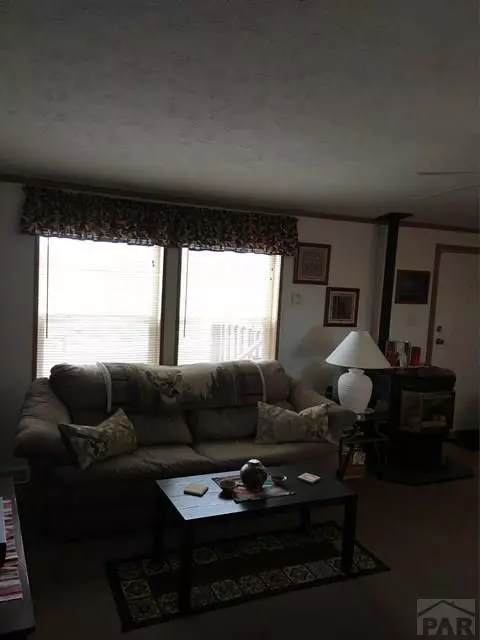 2405 County Rd 110, Rye, CO 81069 photo 3