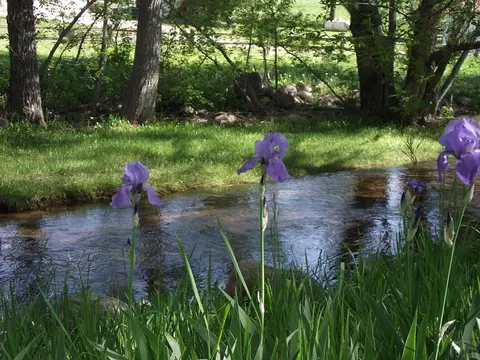 8695 Pine Dr, Beulah, CO 81023 photo 5