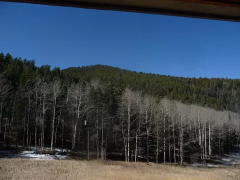 9781 Hwy 165, Rye, CO 81069 photo 3