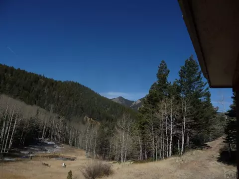 9781 Hwy 165, Rye, CO 81069 photo 4