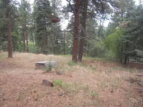 8415 Cuerna Verde Rd, Rye, CO 81069 photo 13