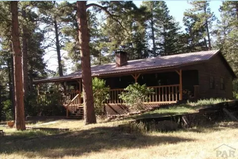 10063 Heller Ln, Rye, CO 81069 photo 1