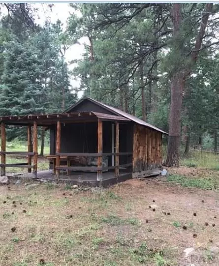 10063 Heller Ln, Rye, CO 81069 photo 3